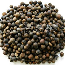 食用油產業鏈解析 從廠家生產、批發價格到食用農產品批發的全景透視