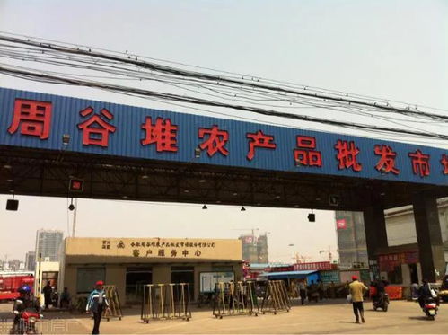 1992年的合肥 18張照片里的食用農產品批發市場