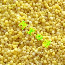 小米產業全景 從田間到餐桌的價格、批發與廠家深度解析