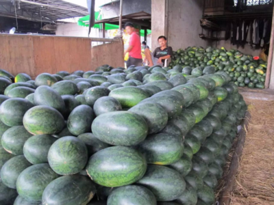 農(nóng)產(chǎn)品質(zhì)量安全十大謠言全解析 食用農(nóng)產(chǎn)品批發(fā)市場(chǎng)真相揭秘